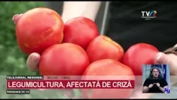Vegetable farming heavily impacted by rising prices #RegionalNews @TVRTM