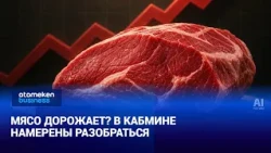 Meat prices rising? The Cabinet intends to investigate