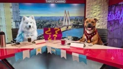 Your TV Horoscope with You 07/21/2026