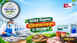 মাছের নিরাপদ প্রক্রিয়াজাতকরণ ও সংরক্ষণ | নিরাপদ খাদ্য ও সুস্থ জীবন | EP-24 | BSSF | GTV