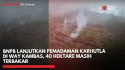 BNPB Lanjutkan Pemadaman Karhutla di Way Kambas, 40 Hektare Masih Terbakar | IDXC UPDATE