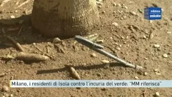 Milan, neglect and decay of greenery in Isola: "MM must explain the tender details"