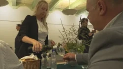 Bírálták a borokat
