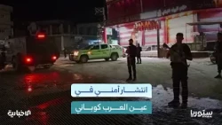 What is the story behind the riots in Ain al-Arab, Kobani, in the Aleppo countryside?