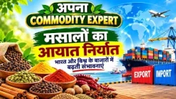 Commodity Expert