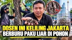 JADI NAIL HUNTER, DOSEN INI KELILING CABUT 1.000 PAKU SEBERAT 4 KG DARI POHON DI JAKARTA