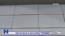 Újraindult a termelés Tófejen – ZTV Híradó 2026-08-13