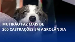 AGROLANDIA