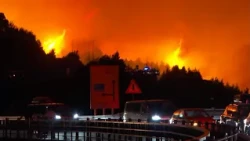 Borba sa vatrom na brojnim požarištima u regionu, u Hrvatskoj stradala državljanka BiH – 15.8.2026.