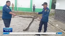 3-METER PYTHON EVACUATED FROM HEALTH CLINIC AREA