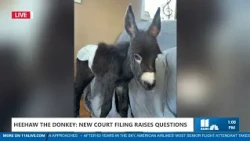 New filing raises questions in Heehaw donkey case