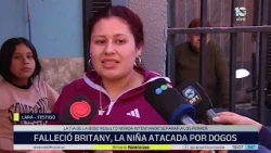 Despair and tragedy in Córdoba: neighbors recount the Dogo attack on a two-year-old girl
