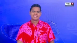 TE_VEA_040926