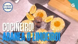 Cociñeiro! Abaneo o LIMOEIRO! | A VOLTAS CO PRATO