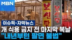 [Subtitle News] "Illegal to sell starting next year"... The last dog meat 'Boknal' before the ban...
