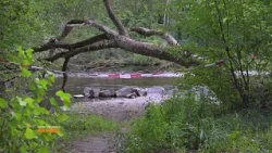 Murder investigation underway: 53-year-old woman stabbed in Vöcklabruck