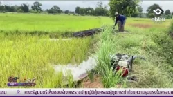 Drought increases costs: Khon Kaen farmers rush to pump water to save rice fields | Isan Today Au...