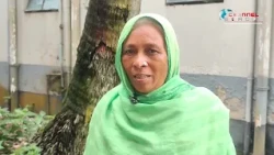 ঠাকুরগাঁওয়ে বিস্ময় ছড়াচ্ছে বিরল নারিকেল গাছ, এক কাণ্ডে সাত শাখা!