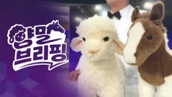 뉴스를 쉽게, 세상을 넓게 | 양말 브리핑 COMING SOON