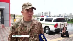 Талдықорғанда бүгін қатты дауыл соғып, қала көшелерінің бірінде ағаш құлады