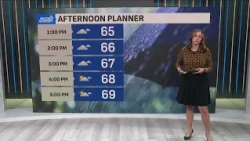Tracking scattered showers, embedded thunderstorms
