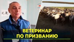 Reindeer herder's son becomes a veterinarian