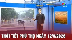 Phu Tho Weather Forecast for 08/12/2026 |
