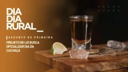 Bill seeks to make National Cachaça Day official