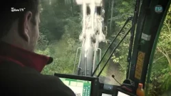 Slow TV | Baum für Baum | FS1