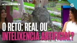 O RETO: real ou intelixencia artificial? | O TERMÓMETRO
