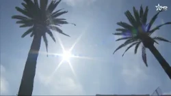 Weather Alert: Heatwave until Friday in several regions of the Kingdom #News