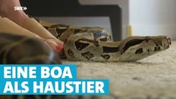 Seit 19 Jahren unzertrennlich: Boa Kaa und Herrchen Andreas