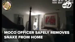 Montgomery County officer safely removes snake from home in 'Operation: Snake Removal'