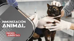 I WAS BITTEN BY A RABID ANIMAL, WHERE DO I GO? #redesabiertas
