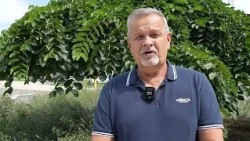Folklor, sevdah i tradicija: Puračić spreman za 14. Internacionalni festival „Dani ćaske 2026“