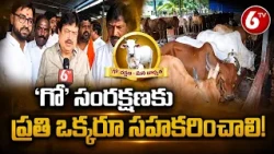 'గో' సంరక్షణకు ప్రతి ఒక్కరూ సహకరించాలి! | BJP Chief Ramchander Rao | Face To Face | 6TV