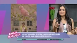 Nature-Inspired Color Combinations That Are Trending | En La Mañana