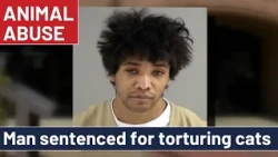 Man receives longest sentence ever for animal abuse in Virginia’s history
