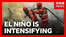 How we can tell ‘Godzilla’ El Niño has started | BBC News