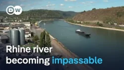 Low river water levels could divide Germany’s cargo lifeline in two | DW News