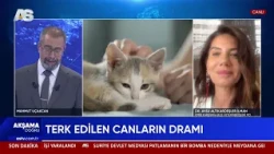 AKŞAMA DOĞRU - MAHMUT UÇAKCAN / KARŞIYAKA BLD. VETERİNER İŞLERİ MÜDÜRÜ DR. AYSU ALTIKARDEŞLER İLMAN