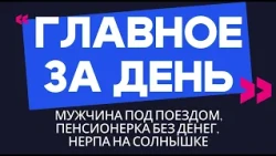 Главное за день: мужчина под поездом, пенсионерка без денег, нерпа на солнышке