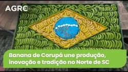 Agro Saúde e Cooperação - Banana de Corupá