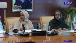 Madaxweyne Geelle oo walaac ka muujiyay xaaladda Geeska Afrika iyo isbeddellada ka socda gobolka.