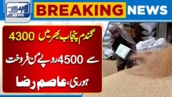 Wheat Prices Reach Rs. 4300–4500 Per Maund Across Punjab | Breaking News