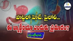 పొట్టలో హెచ్. పైలోరీ...ఈ బ్యాక్టీరియా ఎందుకు ప్రమాదం?| Sukhibhava| 4th September 2026 |ETV Telangana