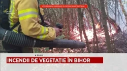 INCENDII DE VEGETAȚIE ÎN BIHOR