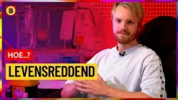 This is how a stem cell donation works
