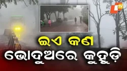 Special Story: Fog in Bhadra? Dense Fog Covers Tensa Amid Contrasting Weather Across Odisha