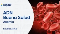 Anemia: Symptoms and Causes - ADN Buena Salud